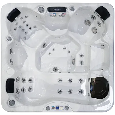 Avalon EC-849L hot tubs for sale in South Gate